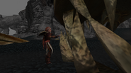 Valka approaching the skull