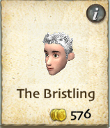 The Bristling