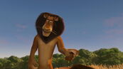 Madagascar2-disneyscreencaps.com-255