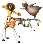 Madagascar 3 Europe's Most Wanted The Main Characters