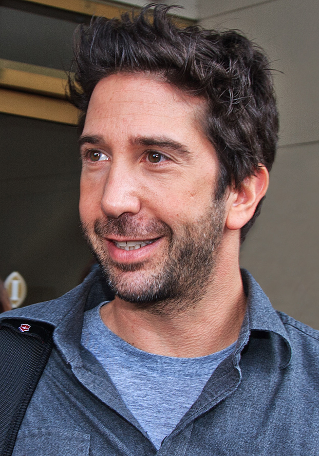 david schwimmer movies