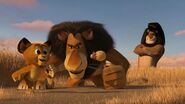 Madagascar2-disneyscreencaps.com-202