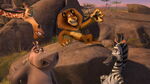 Madly-madagascar-animationscreencaps.com-287