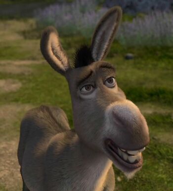 Donkey Profile