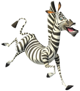 Marty the Zebra