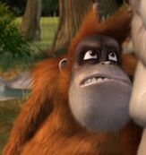 Roger (Father of the Pride)