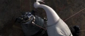Kung-fu-panda2-disneyscreencaps.com-3461.jpg (215 KB)