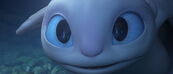 Light forming an attraction towards Toothless.