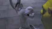 Donkey-voiced-by-Eddie-Murphy-in-Shrek-the-Third-2007-8