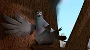 Frankie Character from the series, The Penguins of Madagascar