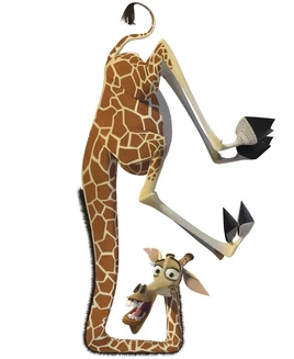 Melman2