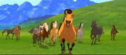spirit the movie original Spirit