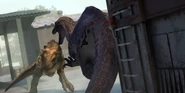 Carnotaurus begins to ram Suchomimus.png (1.3 MB)