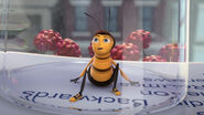 Bee-movie-disneyscreencaps com-2494