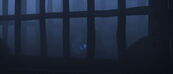 Light Fury invisible in her cage.