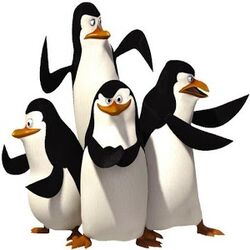 Pinguine