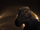 Baryonyx