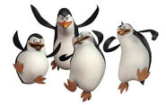 600--pinguins