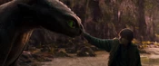 Hiccup and Toothless' bond, starting their friendship