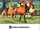 Spirit Riding Free