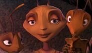 Antz-disneyscreencaps.com-1430