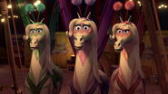 Madagascar3-disneyscreencaps.com-8930.jpg (367 KB)
