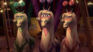 Madagascar3-disneyscreencaps.com-8930