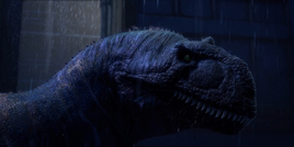 Majungasaurus Major lost sight of them