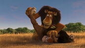 Madagascar2-disneyscreencaps.com-248