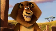 Madagascar3-disneyscreencaps.com-311.jpg (431 KB)
