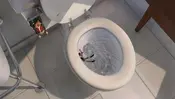 Flushed-away-disneyscreencaps.com-897.webp (30 KB) "You were going to try to flush me. Let's see how you like it!"