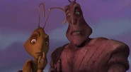 Antz-disneyscreencaps.com-8614.jpg (986 KB)