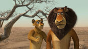 Madagascar2-disneyscreencaps.com-7633