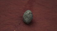 The Shusher in the dirt