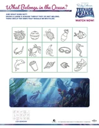 Pg. 5 - What Belongs in the Ocean?