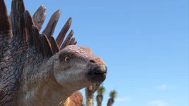 Pierce starts listening to Mae that it is safe