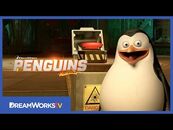 DON'T PUSH THE BUTTON! - PENGUINS OF MADAGASCAR