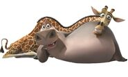 Melman-and-Gloria