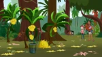 Banana Trees' rehabilitations