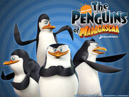 Nickelodeon's The Penguins of Madagascar wallpaper