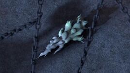 DoB; Dragon Root
