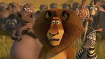 Madagascar2-disneyscreencaps.com-2625