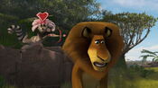 Madly-madagascar-animationscreencaps.com-1584