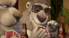 Father of the Pride Bernie Twirling His Whisker