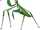 Mantis