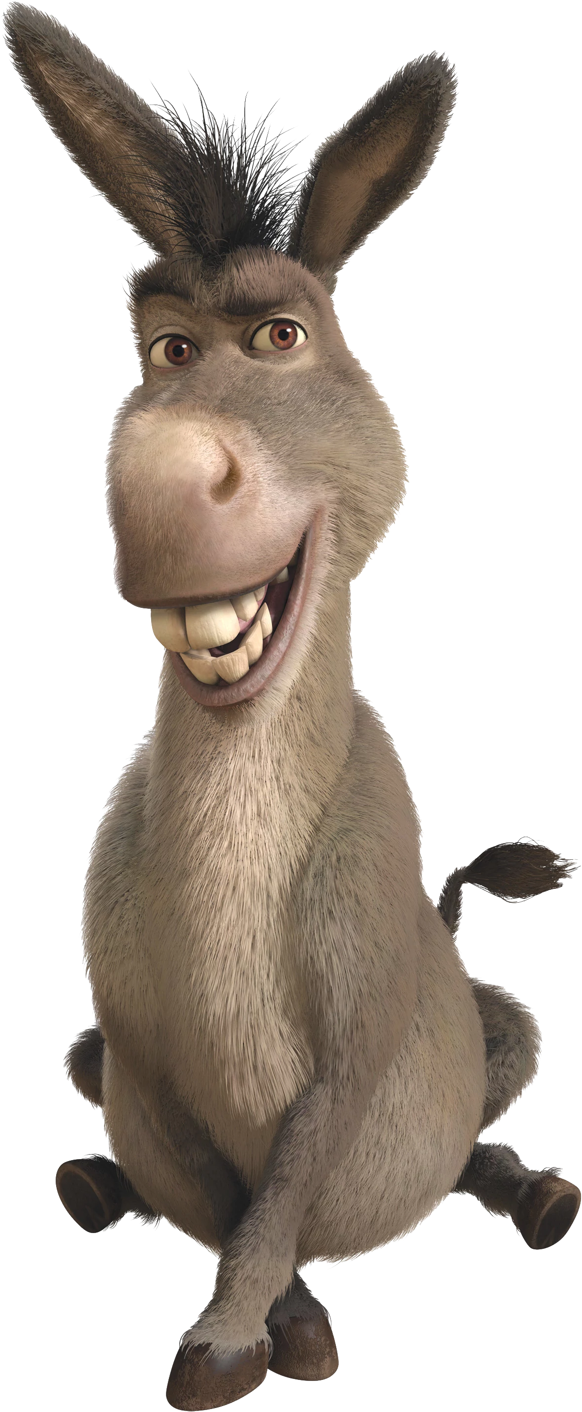 Burro do shrek Conservador