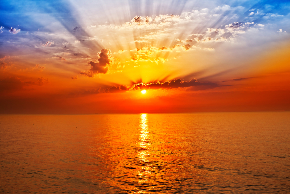 Wallpaper : sunlight, landscape, sunset, hill, nature, plants, field, sunrise, e