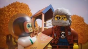 Albert und Mr