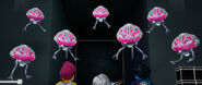 Brain Drones