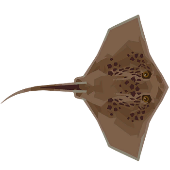Stingray Image